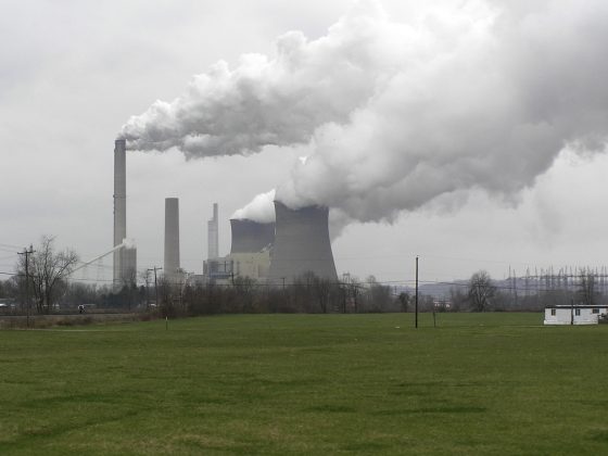 Imagem: Peggydavis66/Flickr