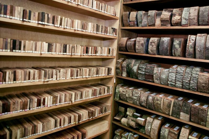 A madeira é um dos materiais biodegradáveis e renováveis mais utilizados na construção civil sustentável