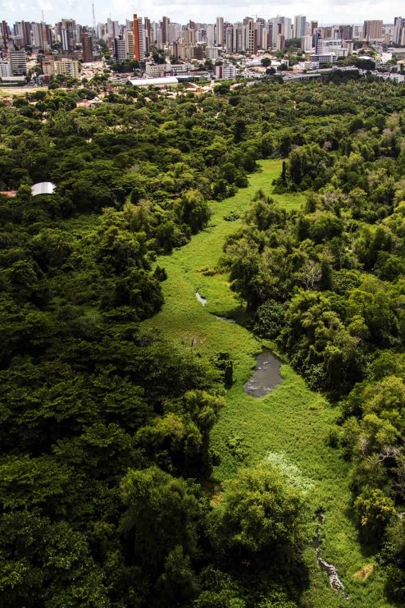 Parque Ecológico do Rio Cocó, a mais importante área verde e de preservação de Fortaleza
