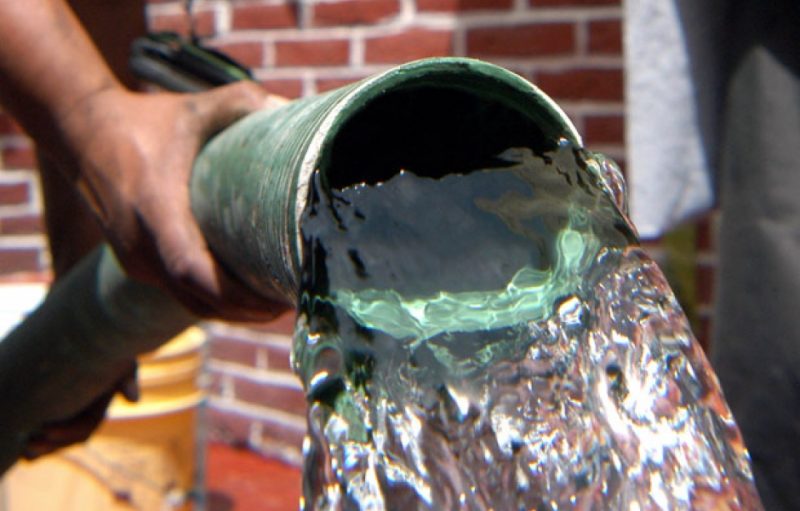 Canteiro sustentável: economia financeira e de recursos naturais.