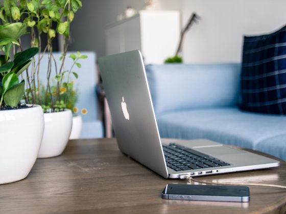 quarentena home office