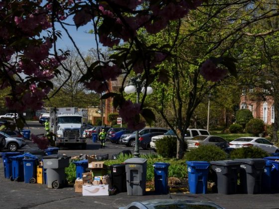 pandemia lixo plástico
