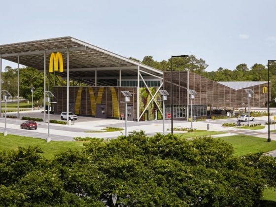 mcdonalds zero energy
