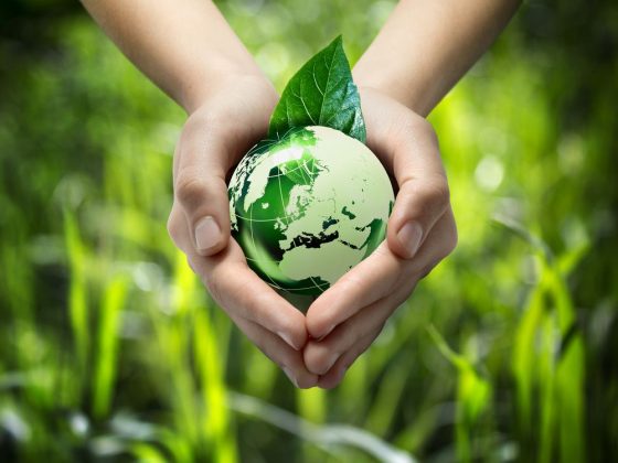 entenda o que é ESG