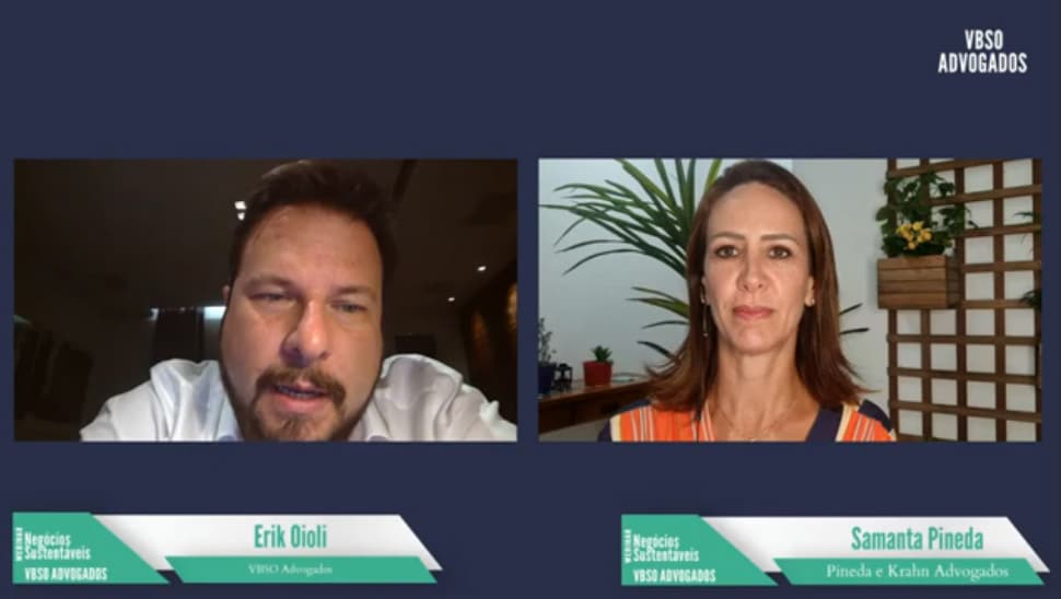 Webinar ESG Títulos Verdes