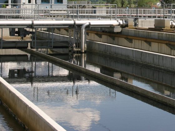dia mundial da água; tratamento de água