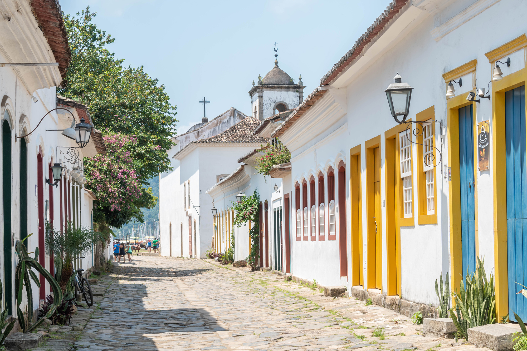 Drogarias Pacheco inaugura loja ecológica em Paraty