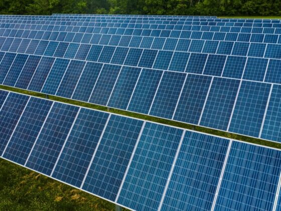 Evolução da energia renovável trará benefício para sociedade