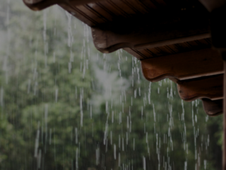 Calor e chuva aceleram avanço da dengue no país