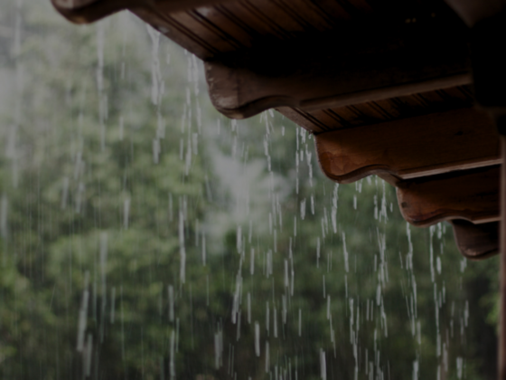 Calor e chuva aceleram avanço da dengue no país
