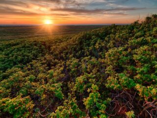 Ecora abre consulta pública na área de créditos de carbono