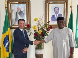 Produto brasileiro ganha apoio internacional contra malária