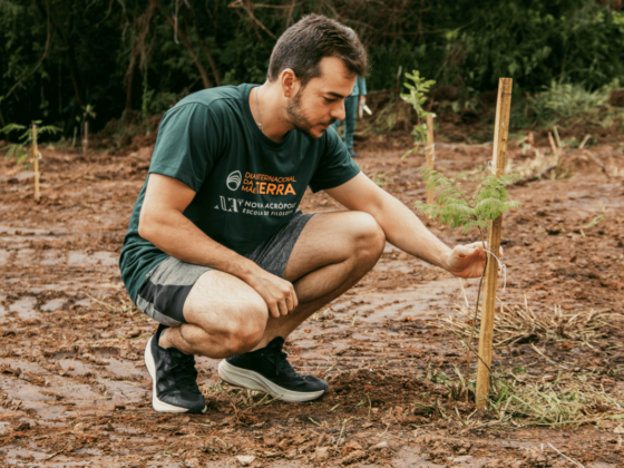 Dia da Terra: Nova Acrópole promove diálogos com cientistas