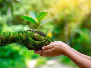 Consciência ecológica rege o comportamento dos ecoturistas