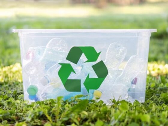 Reciclagem permite a economia de energia e recursos naturais