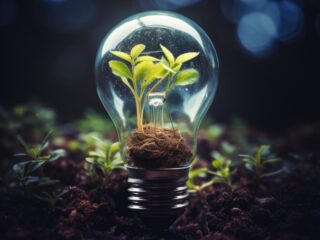 Projeto Conexões em Teias no Energy Summit traz inovação