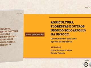 LACLIMA examina uso da terra no regime climático global