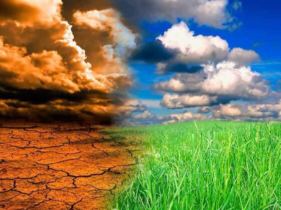 El Niño provoca uma série de impactos climáticos
