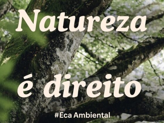 ECA Ambiental é aprovado no Congresso Nacional