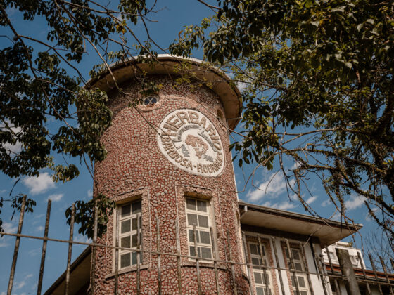 Pesquisa em herbário de SC descobre seis espécies de plantas