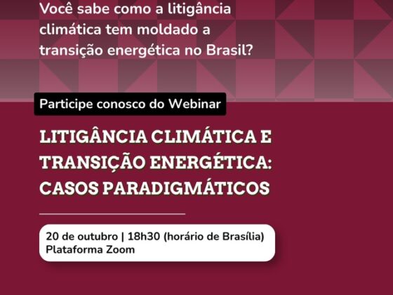 Webinário debate avanço da litigância climática