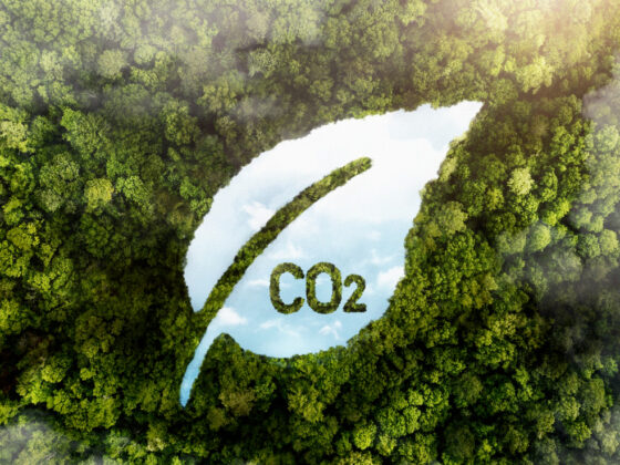 Crédito de carbono de alta qualidade sobe 75%, diz MSCI